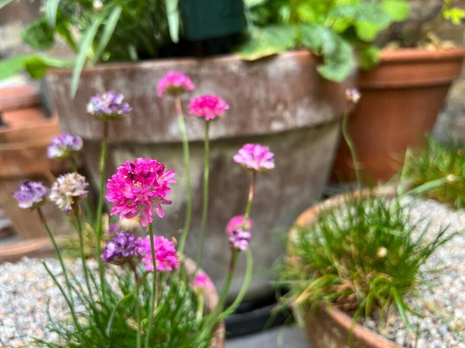 런던 Kings Cross, Self-Contained House & Private Garden 빌라 외부 사진
