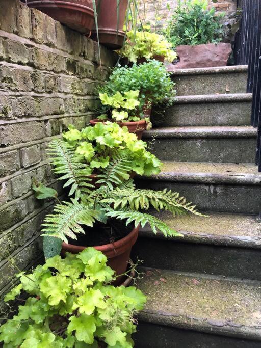 런던 Kings Cross, Self-Contained House & Private Garden 빌라 외부 사진