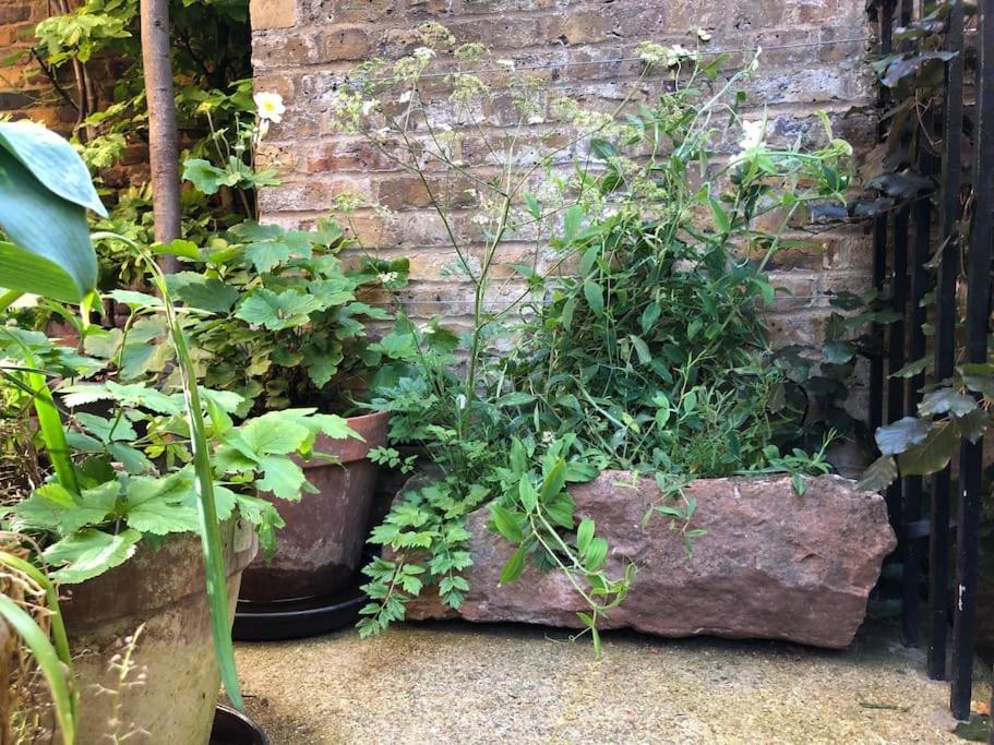 런던 Kings Cross, Self-Contained House & Private Garden 빌라 외부 사진