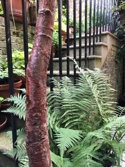 런던 Kings Cross, Self-Contained House & Private Garden 빌라 외부 사진